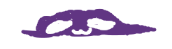 Reference image of Purple